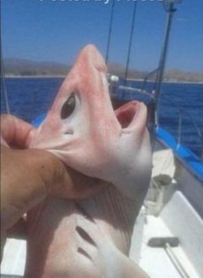 “ky.com”西足协副主席曝西甲假球称经济危机致低上座率(图1)