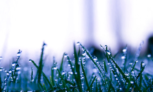 豪门主帅不好当啊！欧洲四强队成绩不佳 谁会成为首位下课教练？‘ky.com’(图2)