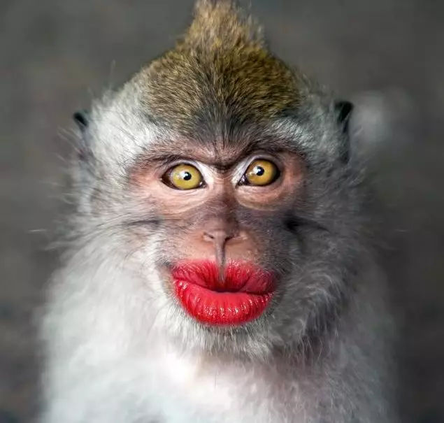 kycom：既是开始亦是终焉 回看经典《伊苏：起源》(图3)