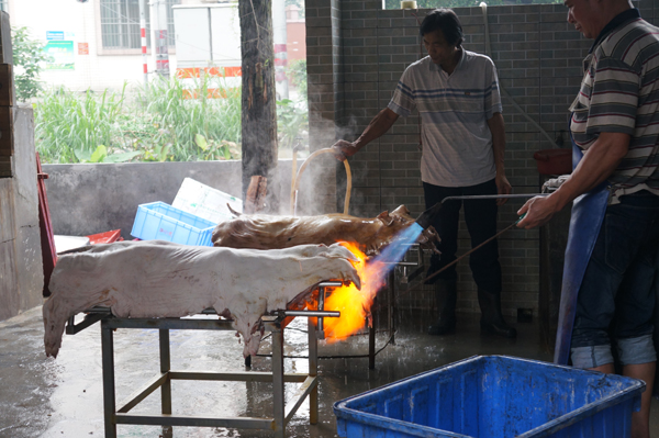 “kycom”以《刺客信条》为背景的原创动画作品正在制作中(图1)