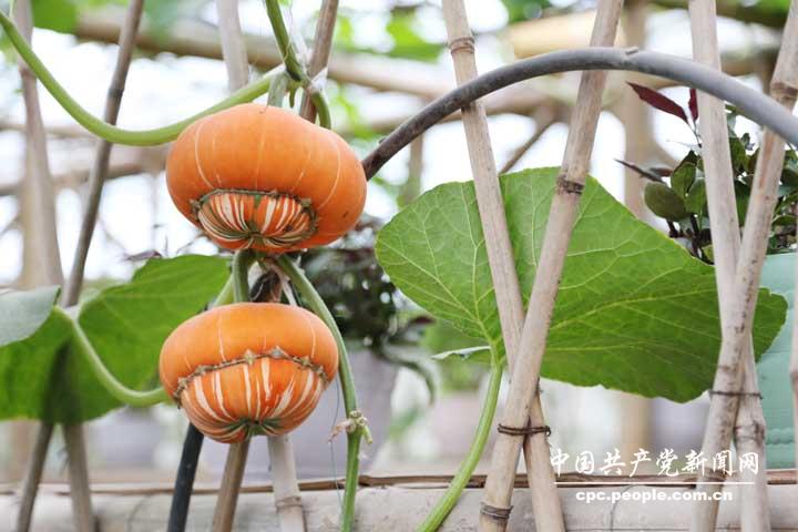 《幽灵行动：荒野》没有推出“大逃杀”模式的计划_ky.com(图2)