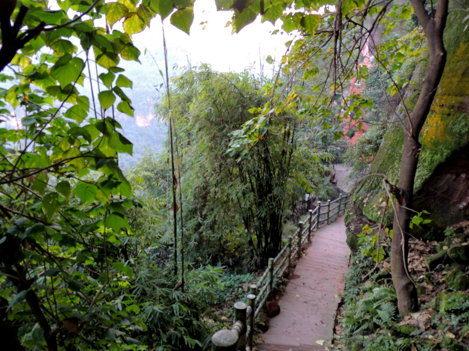 ‘kycom’宫颈癌的五种诊断方法 中医对宫颈癌患者的辨证分型(图1)