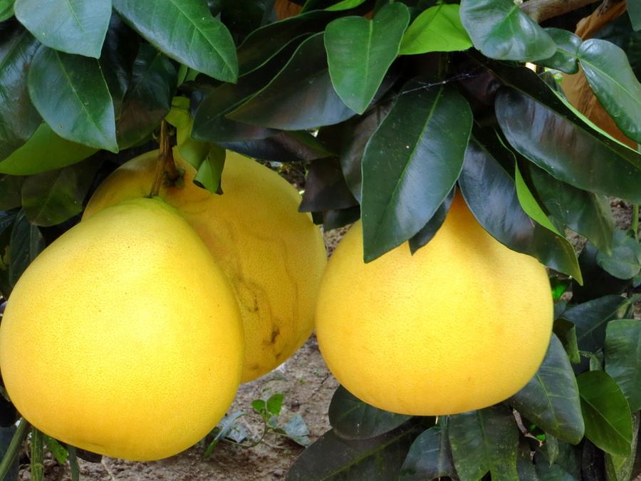 过早有性生活引发宫颈炎 宫颈炎患者的生活宜忌与保健‘ky.com’(图2)