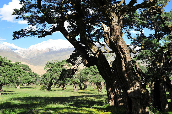 【kycom】子宫肌瘤可以怎么自测出来呢(图1)