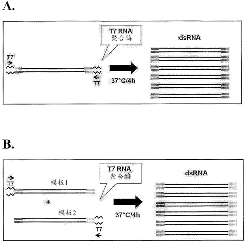《火箭联盟》将推新免费模式 3月22日正式上线‘ky.com’(图2)