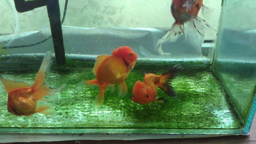 ‘kycom’
5大联赛冠军仅1队不败！3大权门卫冕难度大升 拜仁+巴黎反弹(图4)