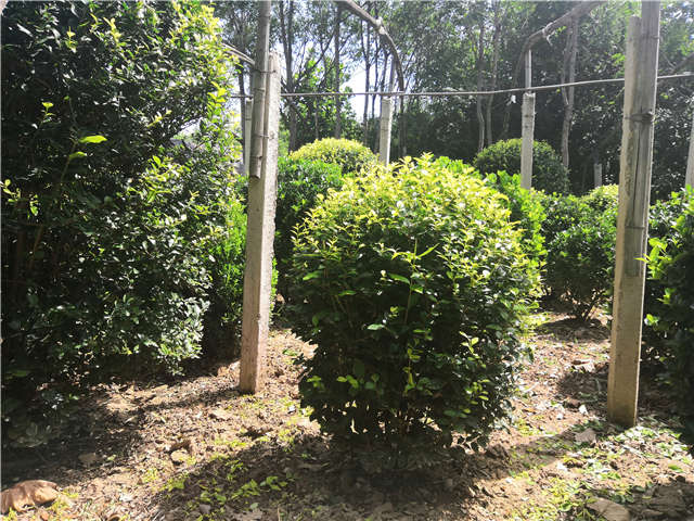 kycom-《孤岛惊魂5》钓鱼系统遭动物善待组织 PETA谴责(图1) kycom-《孤岛惊魂5》钓鱼系统遭动物善待组织 PETA谴责(图1)