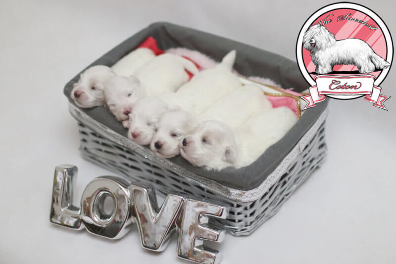 穆帅不满马塞洛却错怪人偏袒亲信遭更衣室讥讽‘kycom’(图1) 穆帅不满马塞洛却错怪人偏袒亲信遭更衣室讥讽‘kycom’(图1)