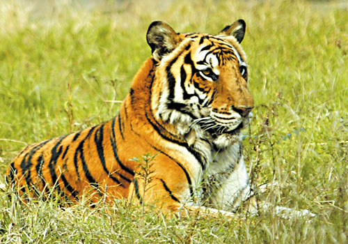 ky.com-慈善赛-两小将破门登贝莱失单刀 巴萨2-0丙级队(图2) ky.com-慈善赛-两小将破门登贝莱失单刀 巴萨2-0丙级队(图2)