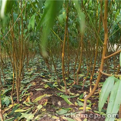 阴道炎的自我检测：kycom(图1)