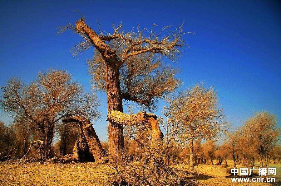 ‘kycom’呵护乳房 拒绝香皂泡(图3)