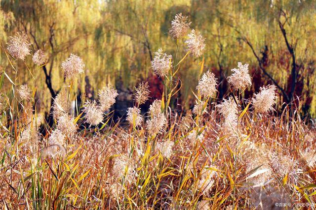 ky.com-女人便秘 易引起宫颈疾病!(图2) ky.com-女人便秘 易引起宫颈疾病!(图2)