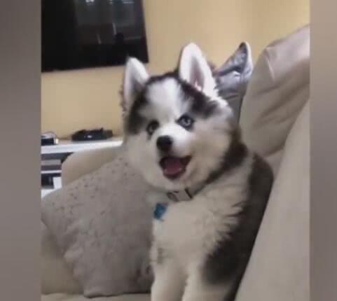 kycom-女性月经量多量少都是病(图2) kycom-女性月经量多量少都是病(图2)