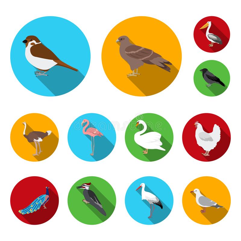 “kycom”霉菌性阴道炎企切莫盲目使用阴道洗液(图1) “kycom”霉菌性阴道炎企切莫盲目使用阴道洗液(图1)