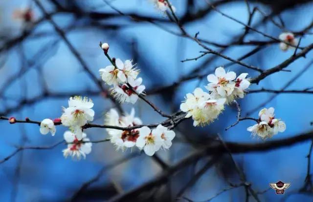 十部科幻感爆棚的行动射击游戏,满足你的科幻梦!|kycom(图1) 十部科幻感爆棚的行动射击游戏,满足你的科幻梦!|kycom(图1)