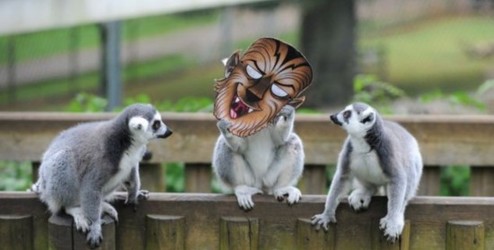 【ky.com】宫颈糜烂的用药禁忌有哪些(图1) 【ky.com】宫颈糜烂的用药禁忌有哪些(图1)