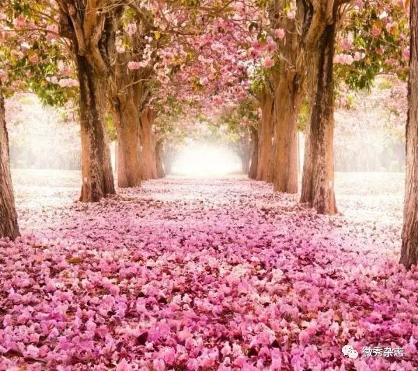 ky.com-酒店楼下球迷太吵闹 C罗礼貌示意：嘘要睡觉了(图2)