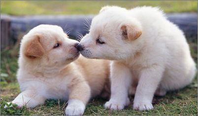 kycom：国安外援西乙2射1传+销魂任意球！重伤后的第2战(图1)