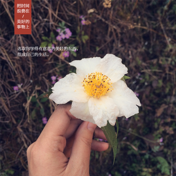 【早报】国家德比巴萨三杀皇马 武磊攻入西甲首球|kycom(图1)