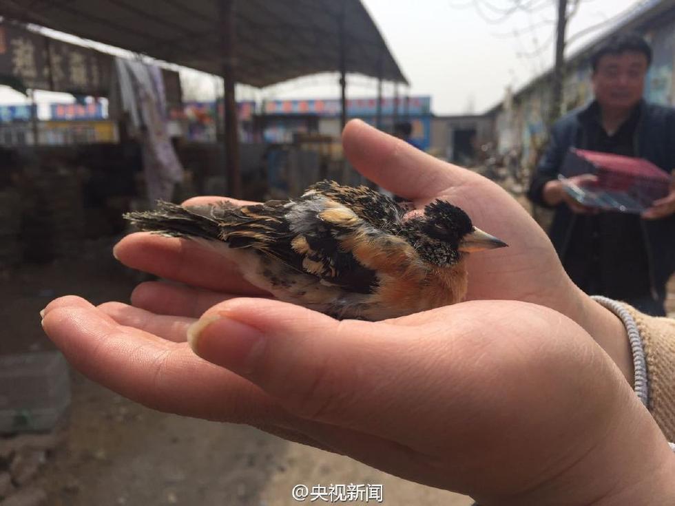 巴士晨间快讯 《文明6》公布印度新领袖月护王【kycom】(图1)