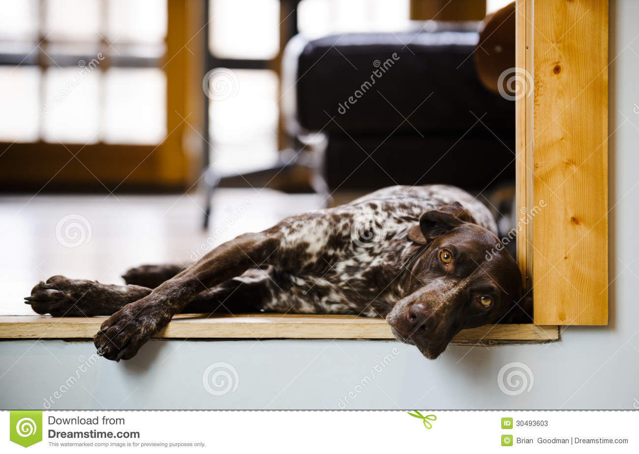 格子破门科斯塔献助攻 马竞3-0韦斯卡收获联赛两连胜‘ky.com’(图1) 格子破门科斯塔献助攻 马竞3-0韦斯卡收获联赛两连胜‘ky.com’(图1)