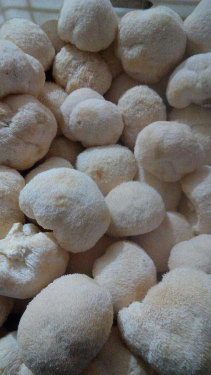 育碧表示刺客信条大革命亚洲中文版不阉割|ky.com(图2)