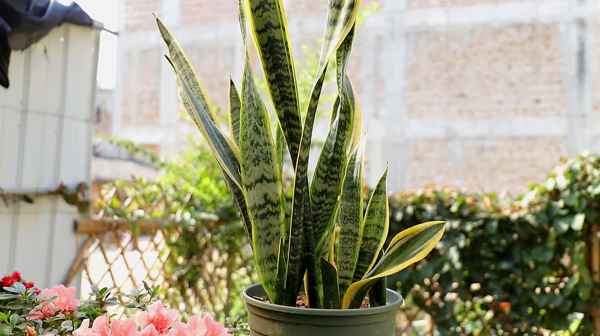 kycom|恐怖游戏《你好 邻居》完整版将于8月29日发售(图3)