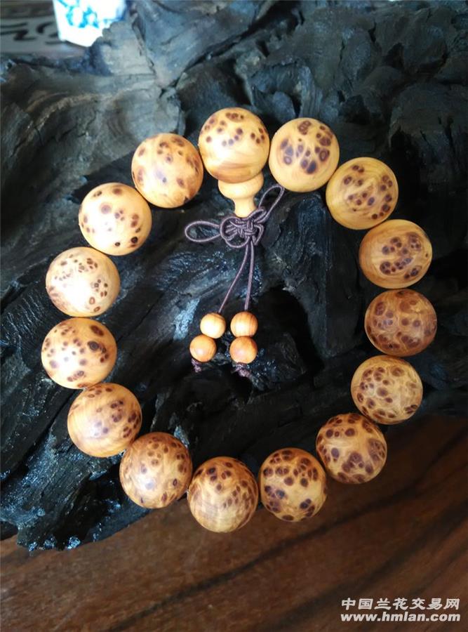 
「欧联杯」每次晋8强必称王　塞维利亚打击神话_kycom(图1)