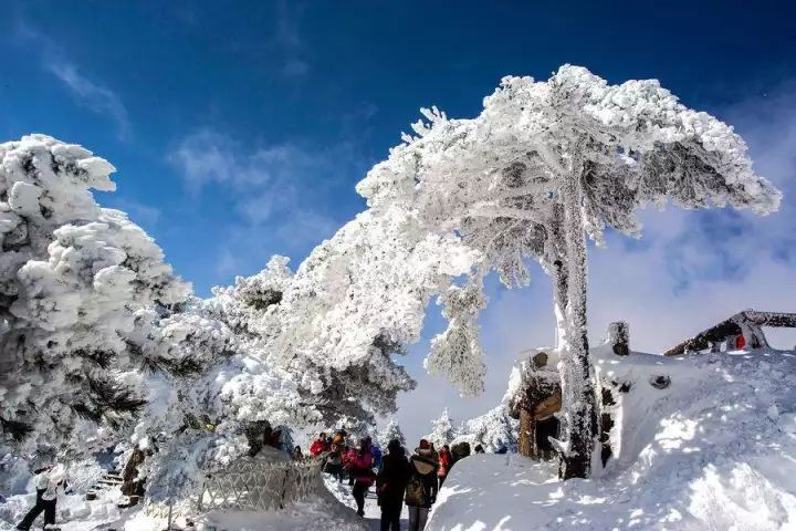 梅西次子迎4岁生日:复刻老爹经典奔袭+标志庆祝_ky.com(图2)